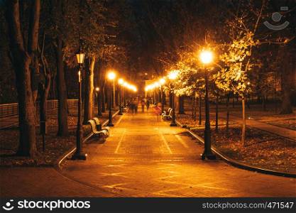 Night city park. Wooden benches, street lights and park alley