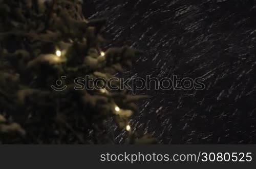 Night heavy snowstorm with strong wind and branch of fir tree with Christmas lights in foreground. Shot with changing focus