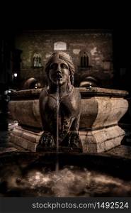 Night image of the fountain detail of Piazza Vecchia, the Sphinx of the Contarini fountain in the center of the square in Bergamo Alta, historic city of Lombardy
