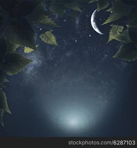 Night in the forest, abstract natural backgrounds
