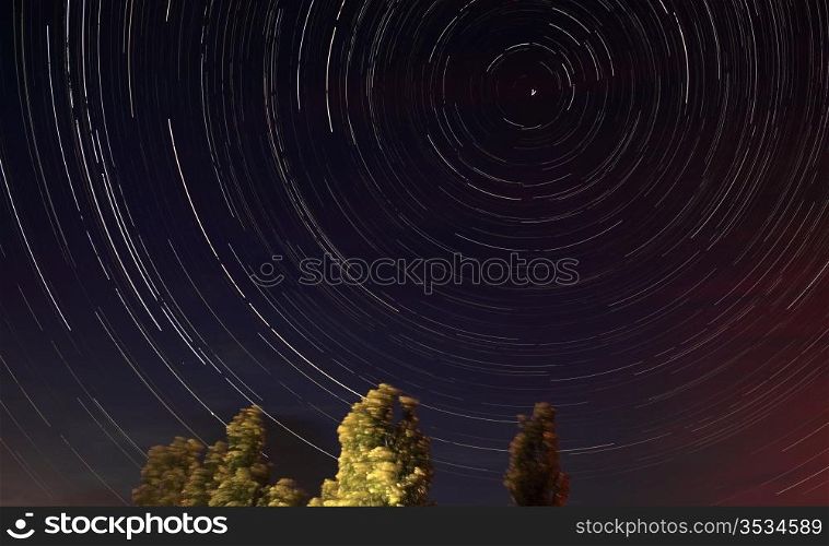 Night landscape, lonely tree in the night sky with moving stars