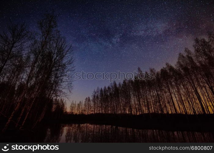 Night landscape with bare woods on lake shore under starry sky