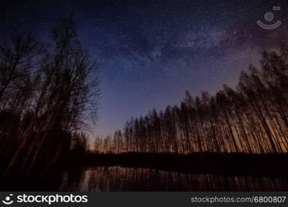 Night landscape with bare woods on lake shore under starry sky