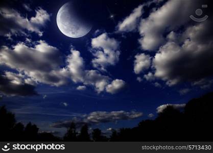 Night landscape with the moon in a cloudy sky above dark forest