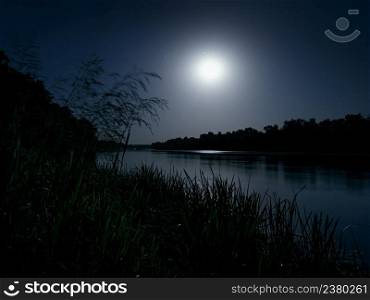Night landscape with woods on river Don in moonlight, long exposure