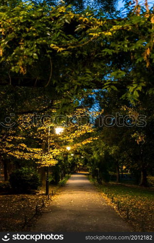 Night scene. Dark alley in Cismigiu Gardens Park at night in downtown Bucharest, Romania, 2021