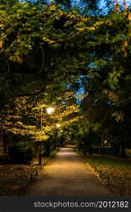 Night scene. Dark alley in Cismigiu Gardens Park at night in downtown Bucharest, Romania, 2021