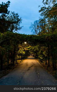 Night scene. Dark alley in Cismigiu Gardens Park at night in downtown Bucharest, Romania, 2021