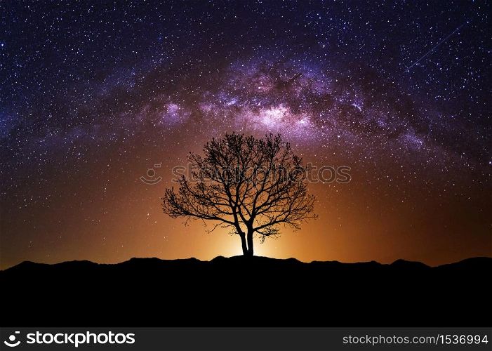 Night scene with Milky Way and old tree