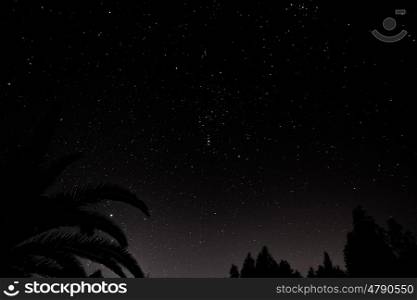 night sky full of stars in portugal