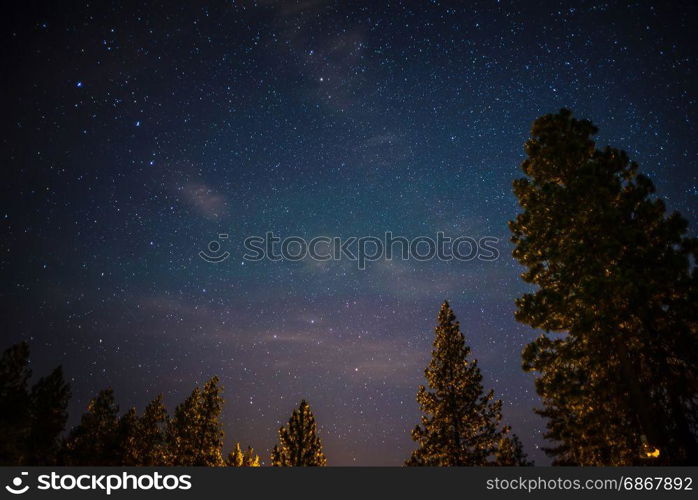 night sky with ursa minor and polaris