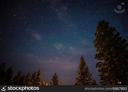 night sky with ursa minor and polaris