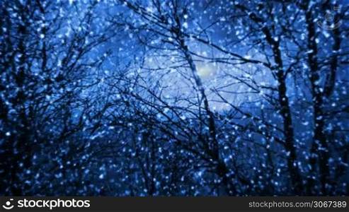 Night snowfall in forest (seamless loop)
