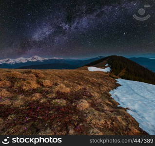 Night spring Carpathian mountains landscape and starry Milky Way in sky, Ukraine, Europe.