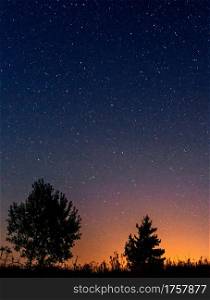 Night starry sky over silhouettes of lonely trees and grass. The last light of the sunbeams of the setting sun at the bottom of the image, vertical image, copy space.. Silhouettes of low trees against the background of the night starry sky and the setting sun.