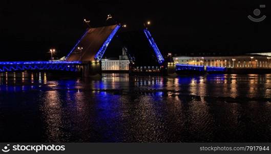 Night view of Opening Palace bridge in St. Petersburg, Russia.