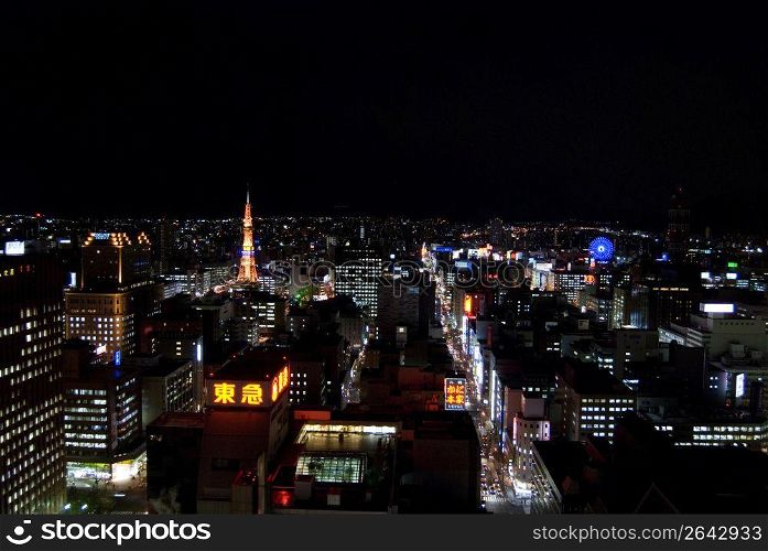 Night view of Sapporo