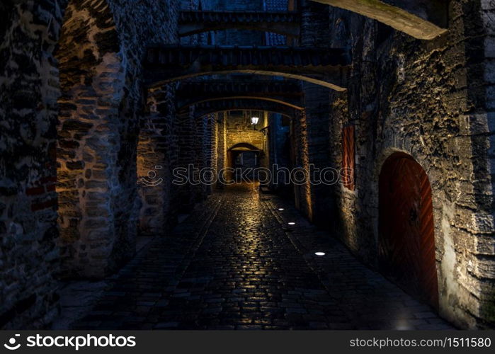 Night view of St. Catherine&rsquo;s Passage in Tallinn, Estonia, a medieval passage containing some of the old remainings of a Dominican Monastery in the city.