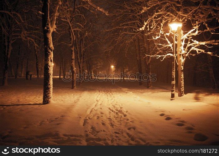 Night winter landscape. Snowy alley of city illuminated park
