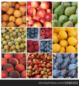 Nine different XL images of fruits in various colors