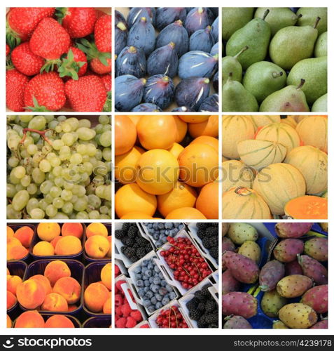 Nine different XL images of fruits in various colors