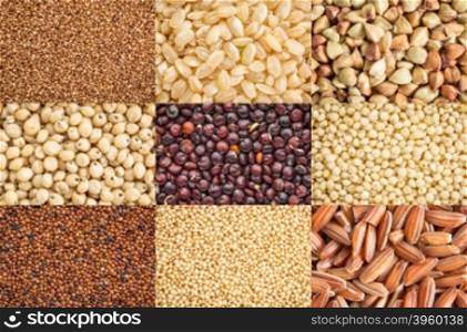 nine healthy, gluten free grains (black quinoa, two varieties of brown rice, millet, amaranth, teff, buckwheat, sorghum, kaniwa), a collage of top view life size macro images