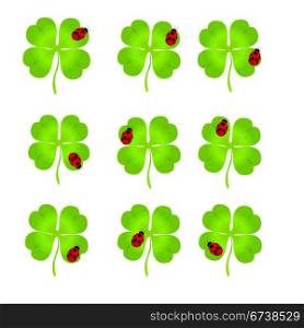 Nine simple luck clovers with ladybirds on them over white background for St. Patrick`s day
