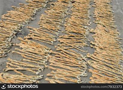 Nipa leaves drying in the sun for tobacco wrapper