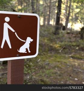 No dogs allowed sign on a pole in a forest, Pemberton, Pemberton Valley, British Columbia, Canada
