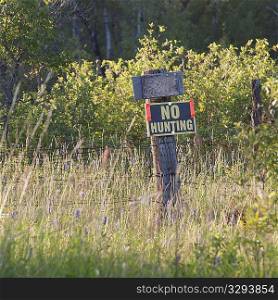 No Hunting sign at Lake of the Woods, Ontario