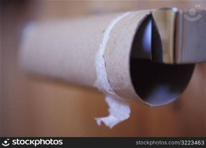 No More Toilet Paper