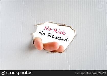 No risk no reward text concept isolated over white background