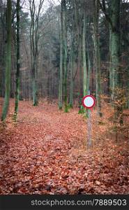 No vehicles traffic sign in autumn forest in Poland. Misty autumnal day