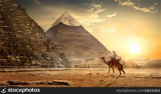 Nomad on camel near pyramids in egyptian desert