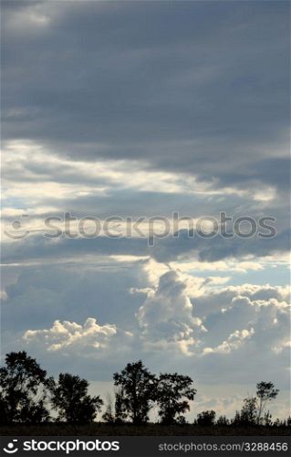 non-urban nature cloudscape with silhouette of trees