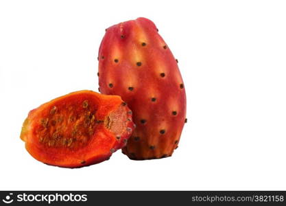 Nopal White Background