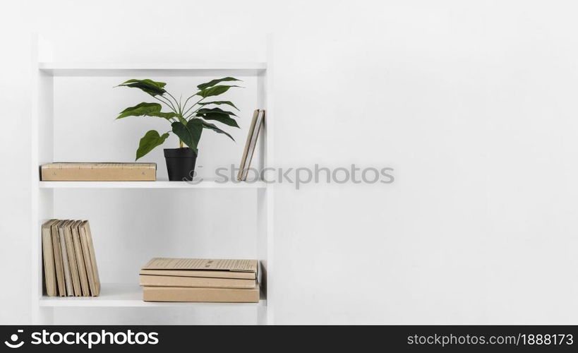 nordic style bookshelf with plant . Resolution and high quality beautiful photo. nordic style bookshelf with plant . High quality and resolution beautiful photo concept