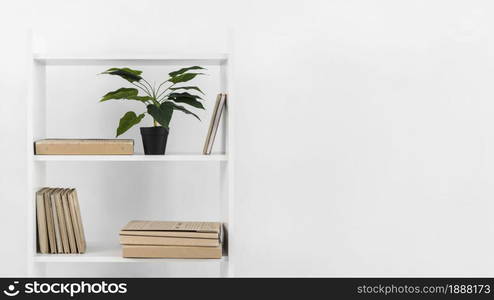 nordic style bookshelf with plant . Resolution and high quality beautiful photo. nordic style bookshelf with plant . High quality and resolution beautiful photo concept