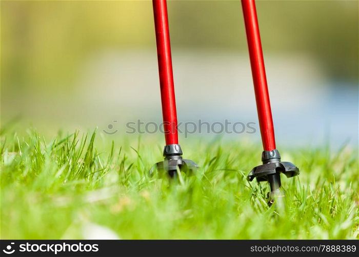 Nordic walking equipment. Closeup of red sticks on the green grass in the park. Active and healthy lifestyle.