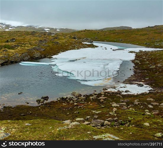North Norway mountain spring tundra valley and puddle with ice cake
