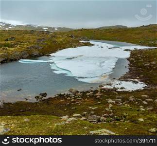 North Norway mountain spring tundra valley and puddle with ice cake