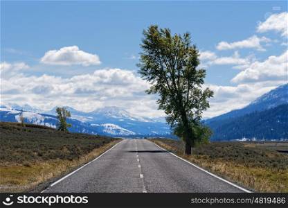 Northeast Entrance Road in Lamar Valley, Yellowstone National Park
