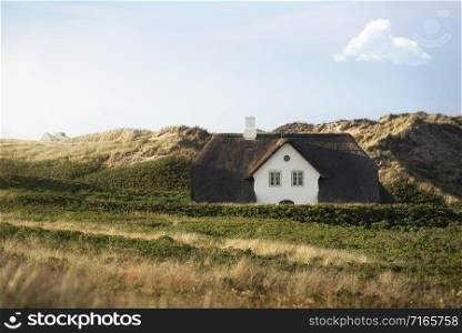 Northern house with reed roof on grassy dunes and roses bush, on Sylt island, at North Sea, Germany. Friesland countryside scenery on sunny summer day
