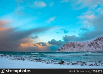 Norway. Lofoten. Winter. Ocean surf between the mountains. Lonely bird over the waves. Winter Norway. Sea Surf and Bird above the Waves