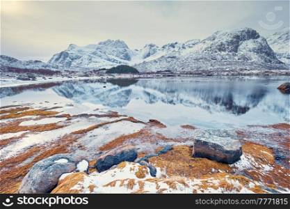 Norwegian fjord in winter. Lofoten islands, Norway. Fjord in winter, Norway