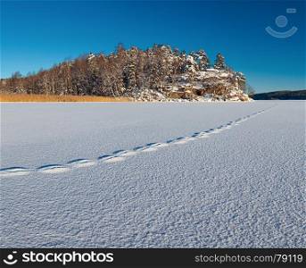 Norwegian landscape. White textured surface of snow with traces on it till distant rock and woods.