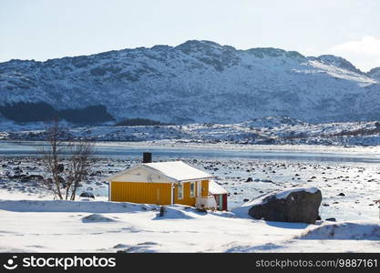 Norwegian traditional  house on the shore of the fjord.  Lofoten Islands. Norway.  