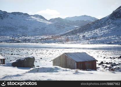 Norwegian traditional  house on the shore of the fjord.  Lofoten Islands. Norway.  