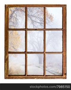 nostalgic autumn scene, foggy park trail - an abstract view from a vintage sash window