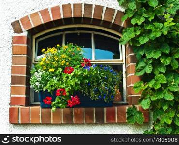 nostalgic window with flowers. flower